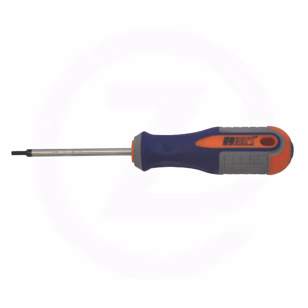 Tournevis Torx® T10