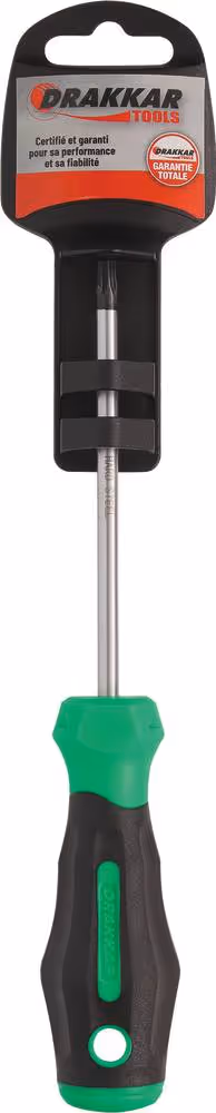 TOURNEVIS TORX TROUE T25*100 S/CARTE