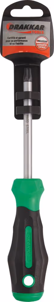 TOURNEVIS TORX TROUE T40*100 S/CARTE