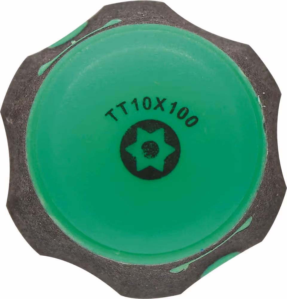 TOURNEVIS TORX TROUE TT10*100