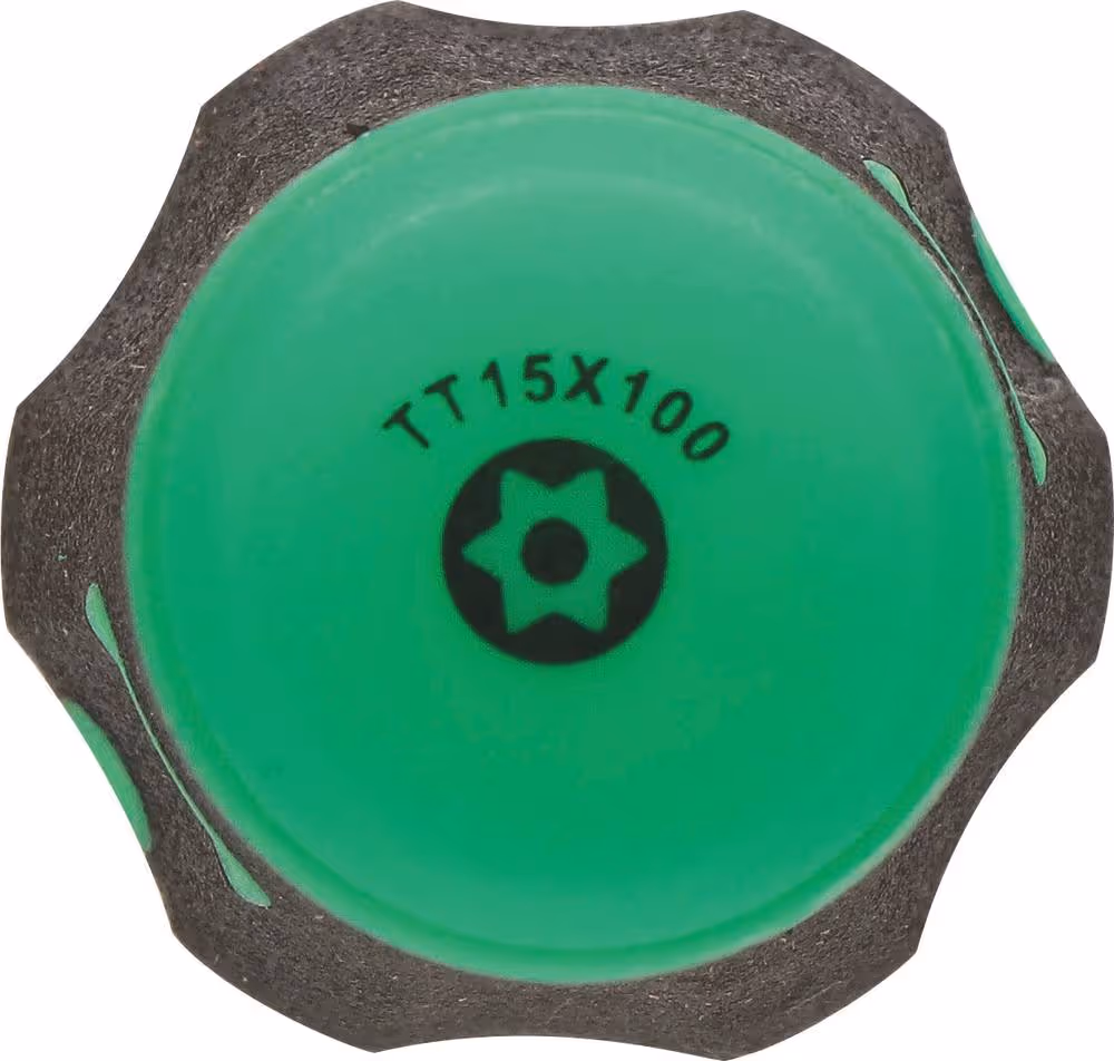 TOURNEVIS TORX TROUE TT15*100