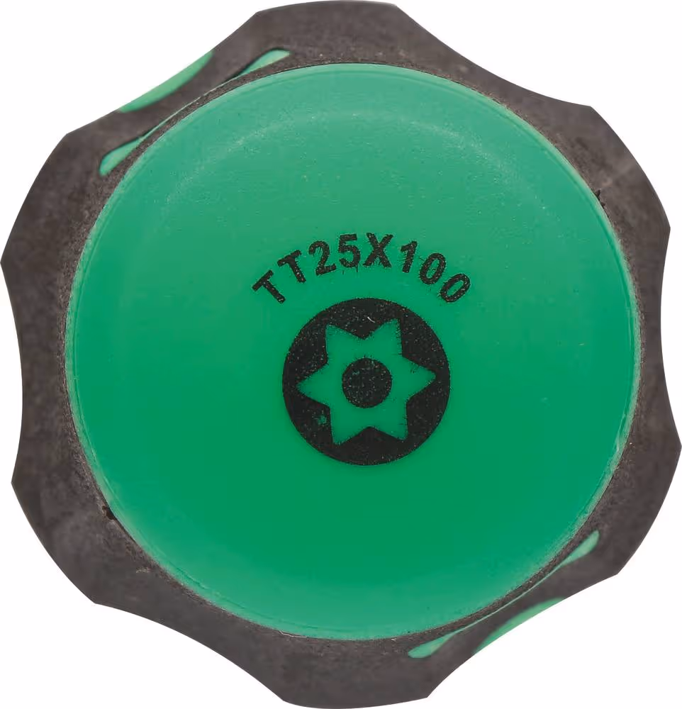 TOURNEVIS TORX TROUE TT25*100