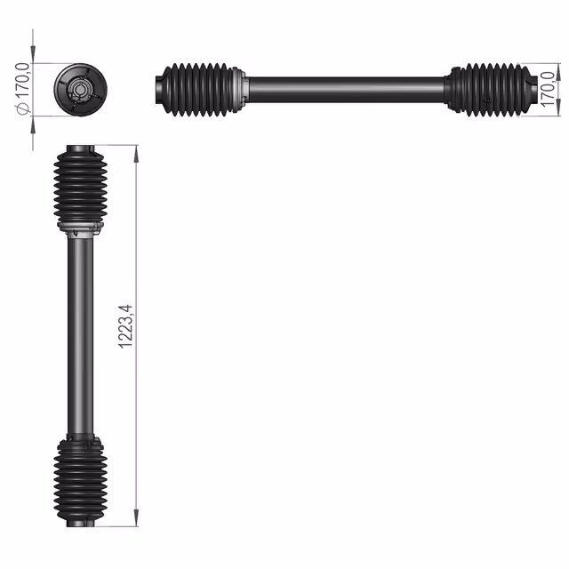 TRANSMISSION WALTERSHEID SIP 150662009