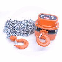 Treuil Rema à chaîne manuel 1t Origine