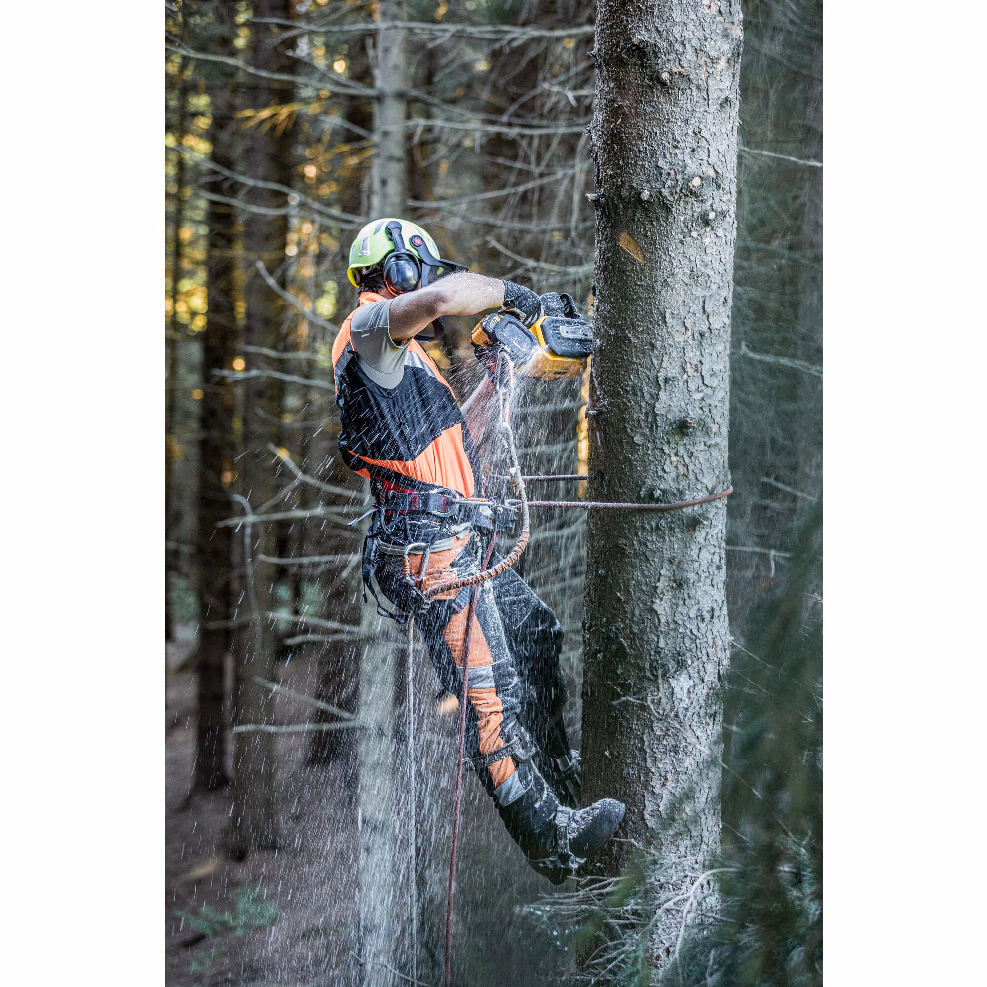 Tronçonneuse d'élagage 35 cm XR FLEXVOLT 54V Brushless