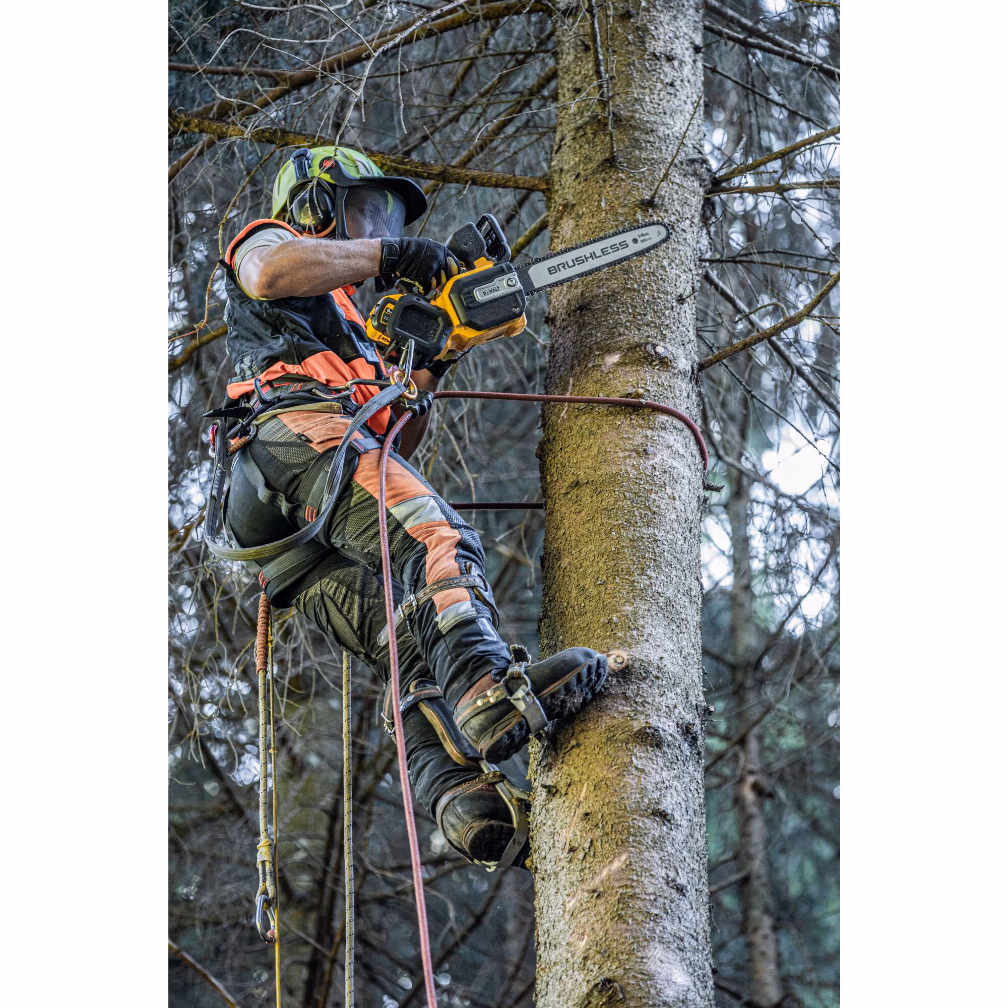 Tronçonneuse d'élagage 35 cm XR FLEXVOLT 54V Brushless