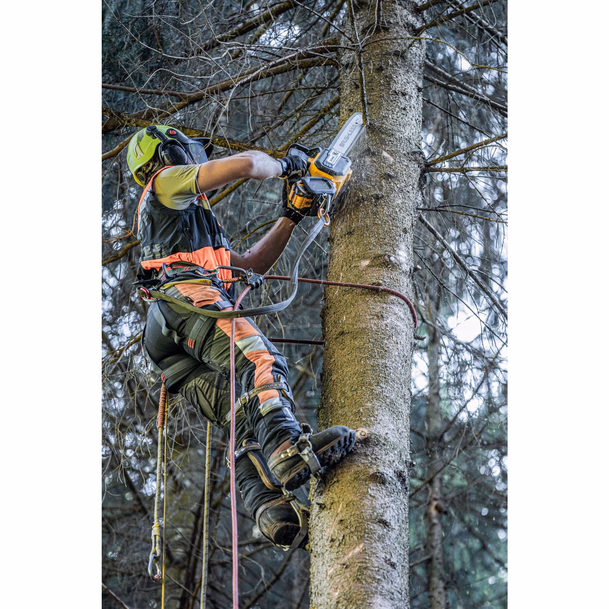 Tronçonneuse d'élagage 35 cm XR FLEXVOLT 54V Brushless