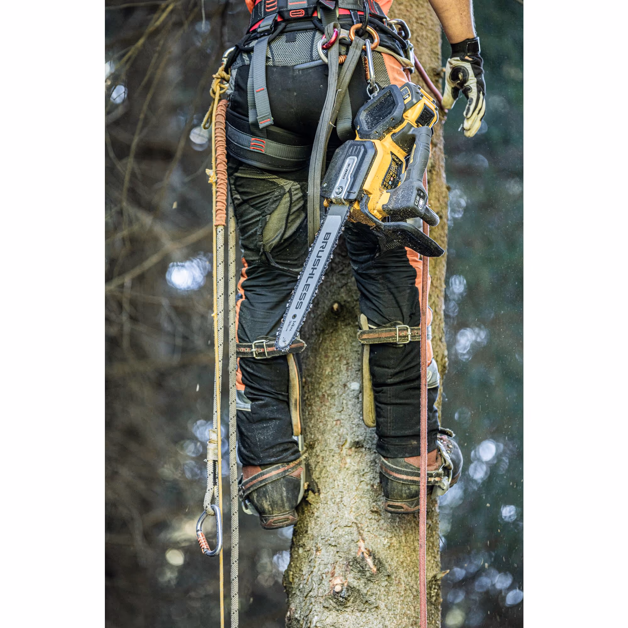 Tronçonneuse d'élagage 35 cm XR FLEXVOLT 54V Brushless