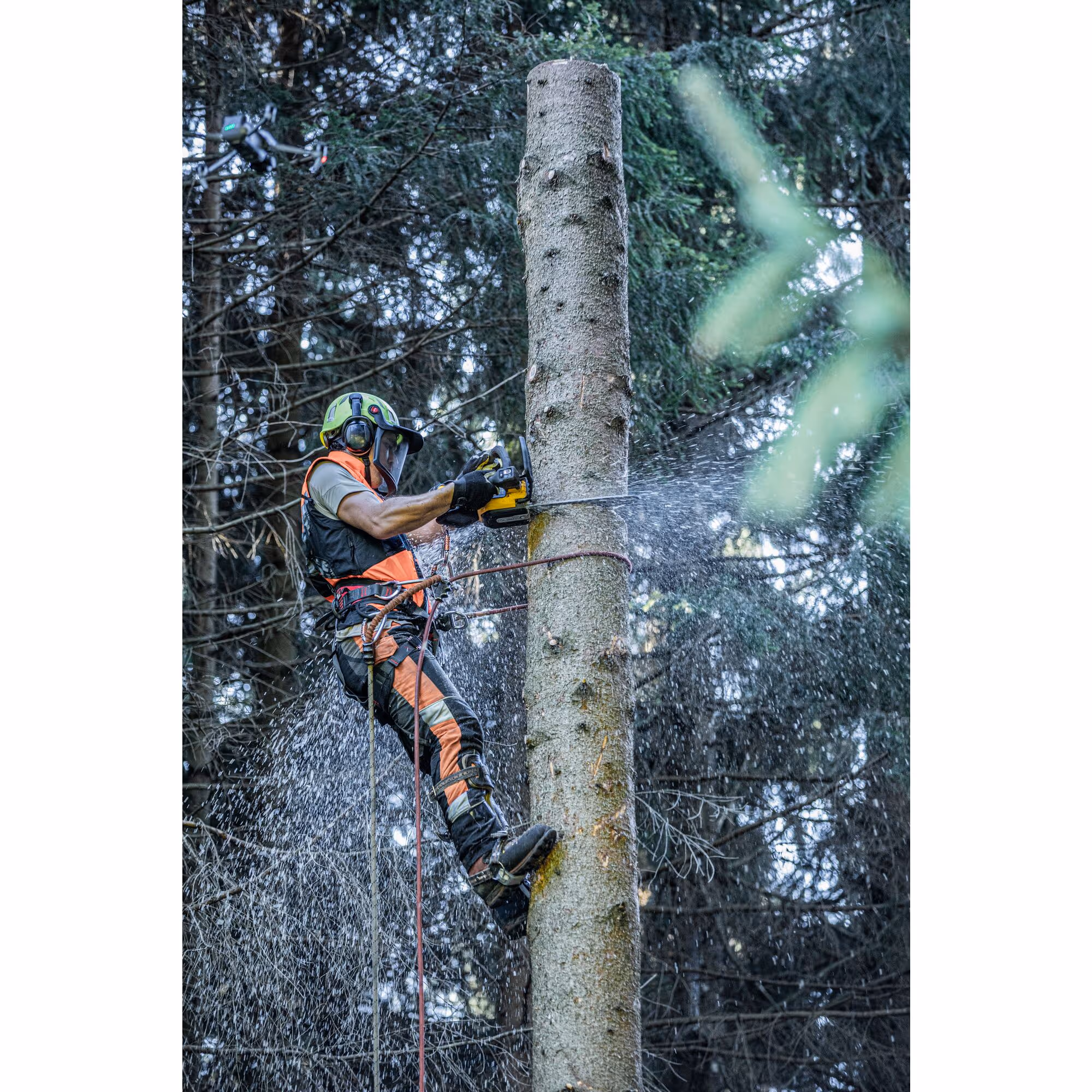 Tronçonneuse d'élagage 35 cm XR FLEXVOLT 54V Brushless
