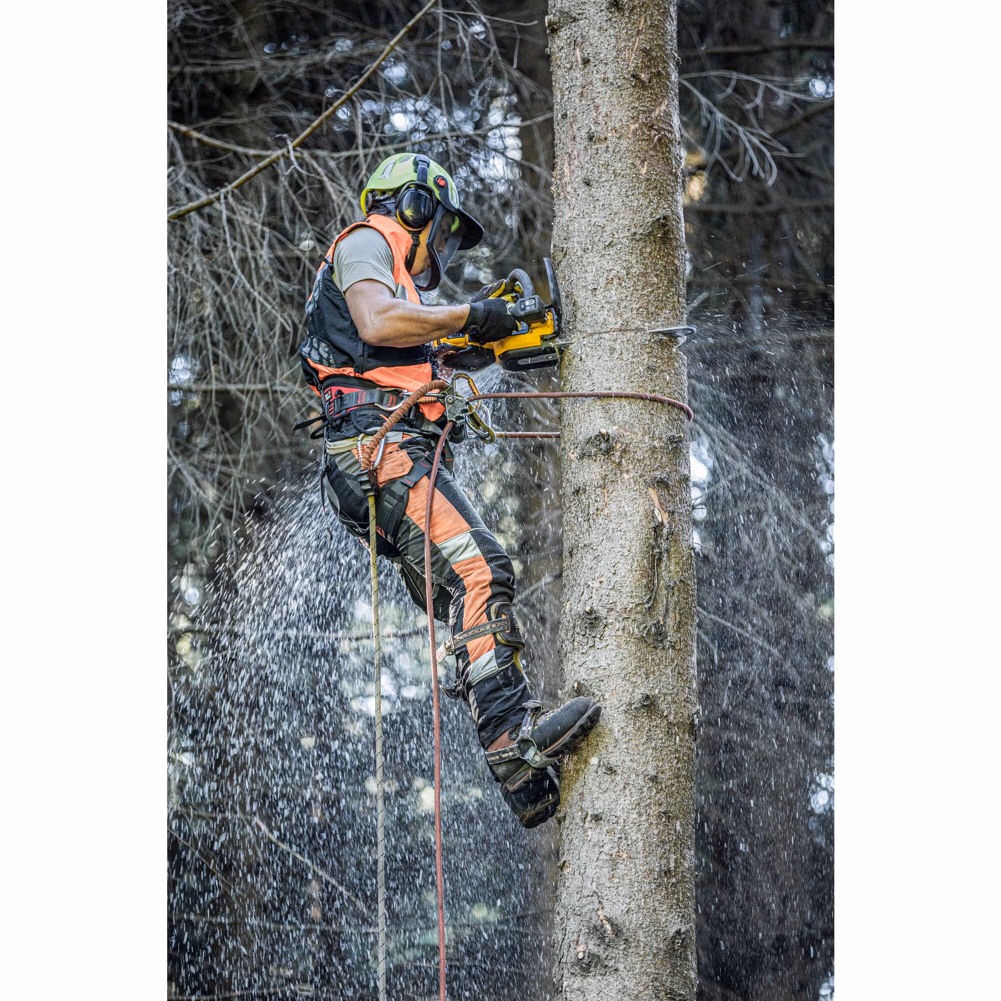 Tronçonneuse d'élagage 35 cm XR FLEXVOLT 54V Brushless