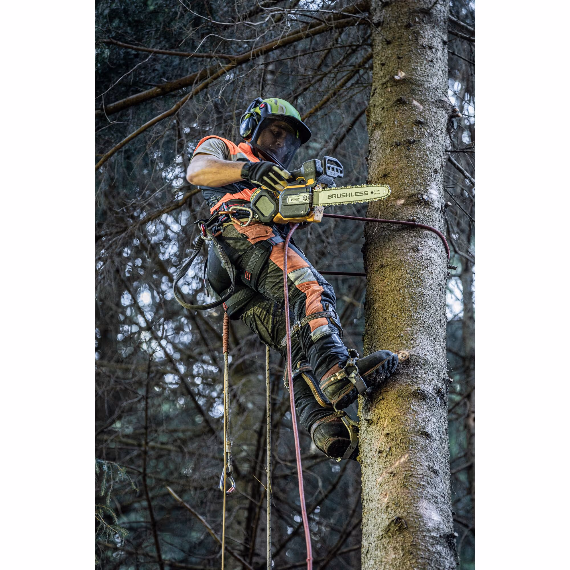 Tronçonneuse d'élagage 35 cm XR FLEXVOLT 54V Brushless