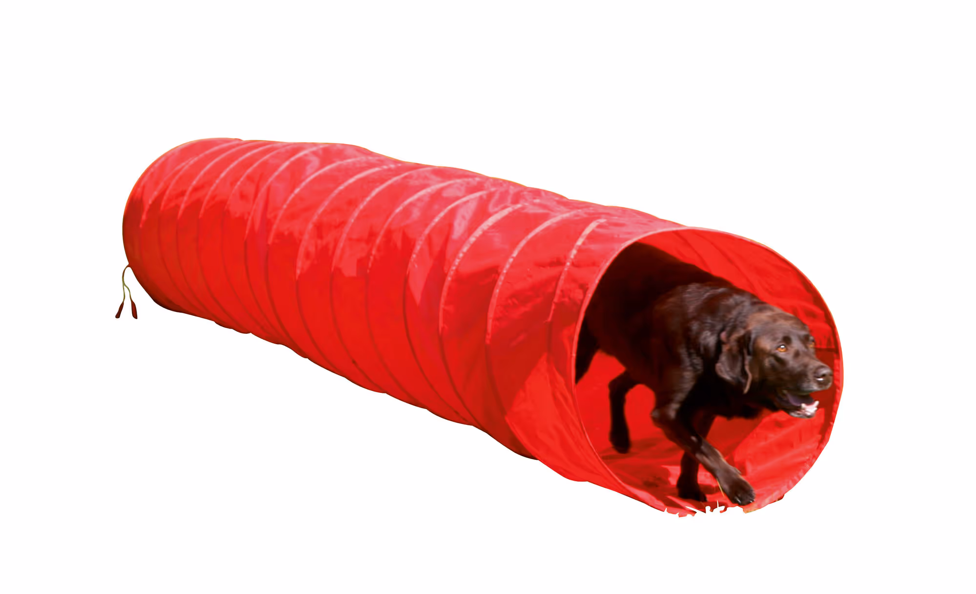 Tunnel Agility rouge, Ø60cm, 5m