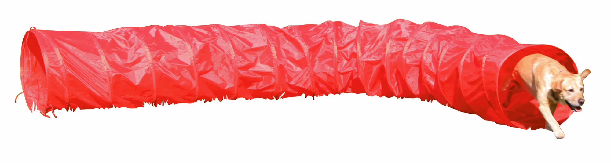 Tunnel Agility rouge, Ø60cm, 5m