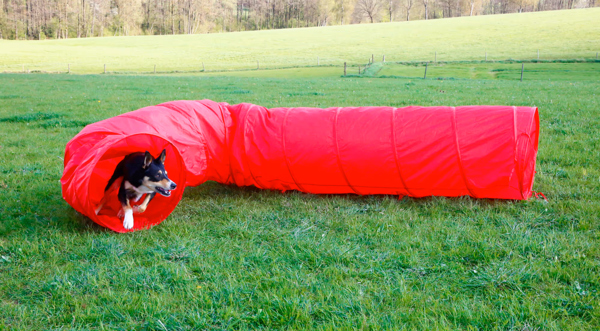 Tunnel Agility rouge, Ø60cm, 5m