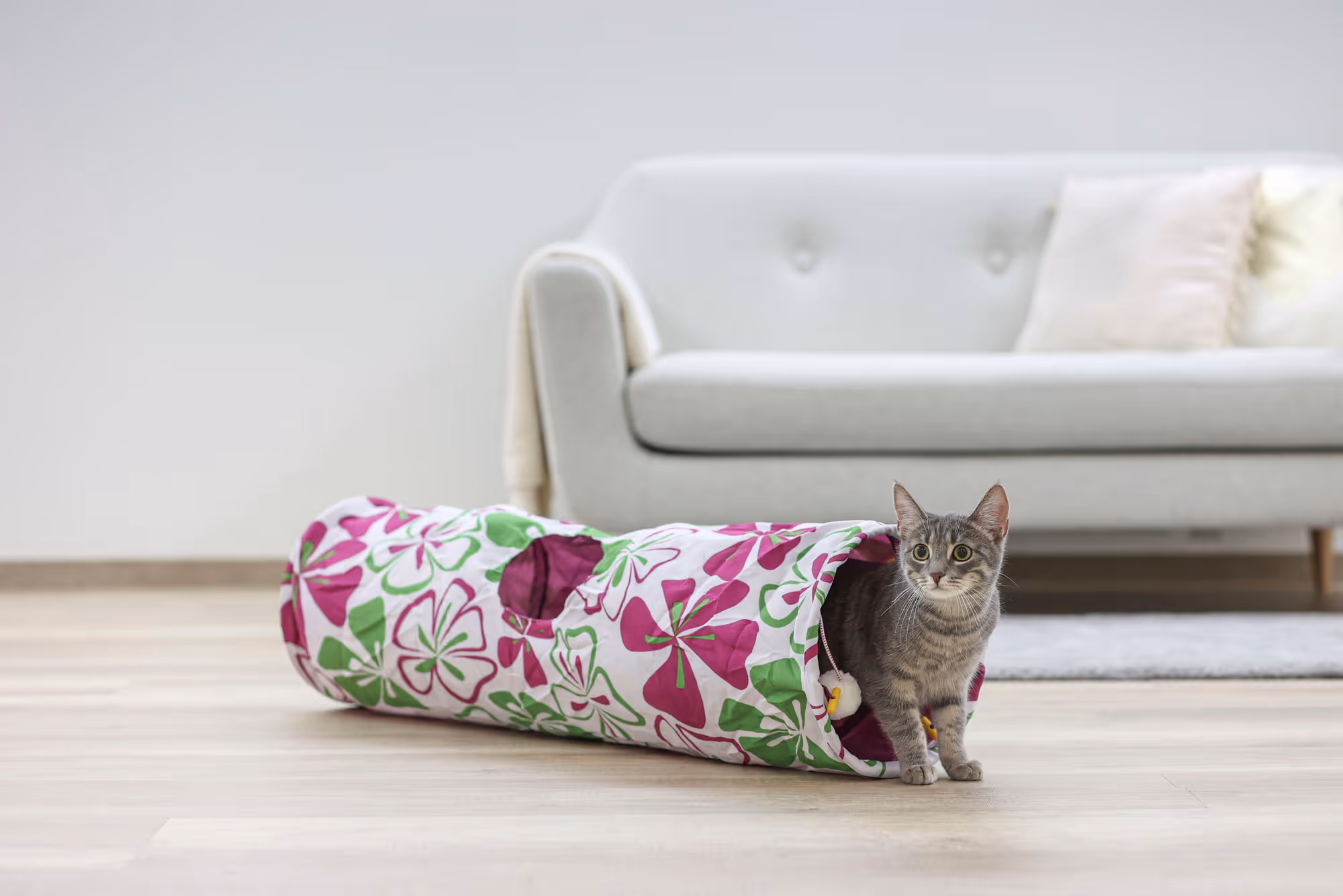 Tunnel pour chat Flower multicolor, 90cm, Ø25cm