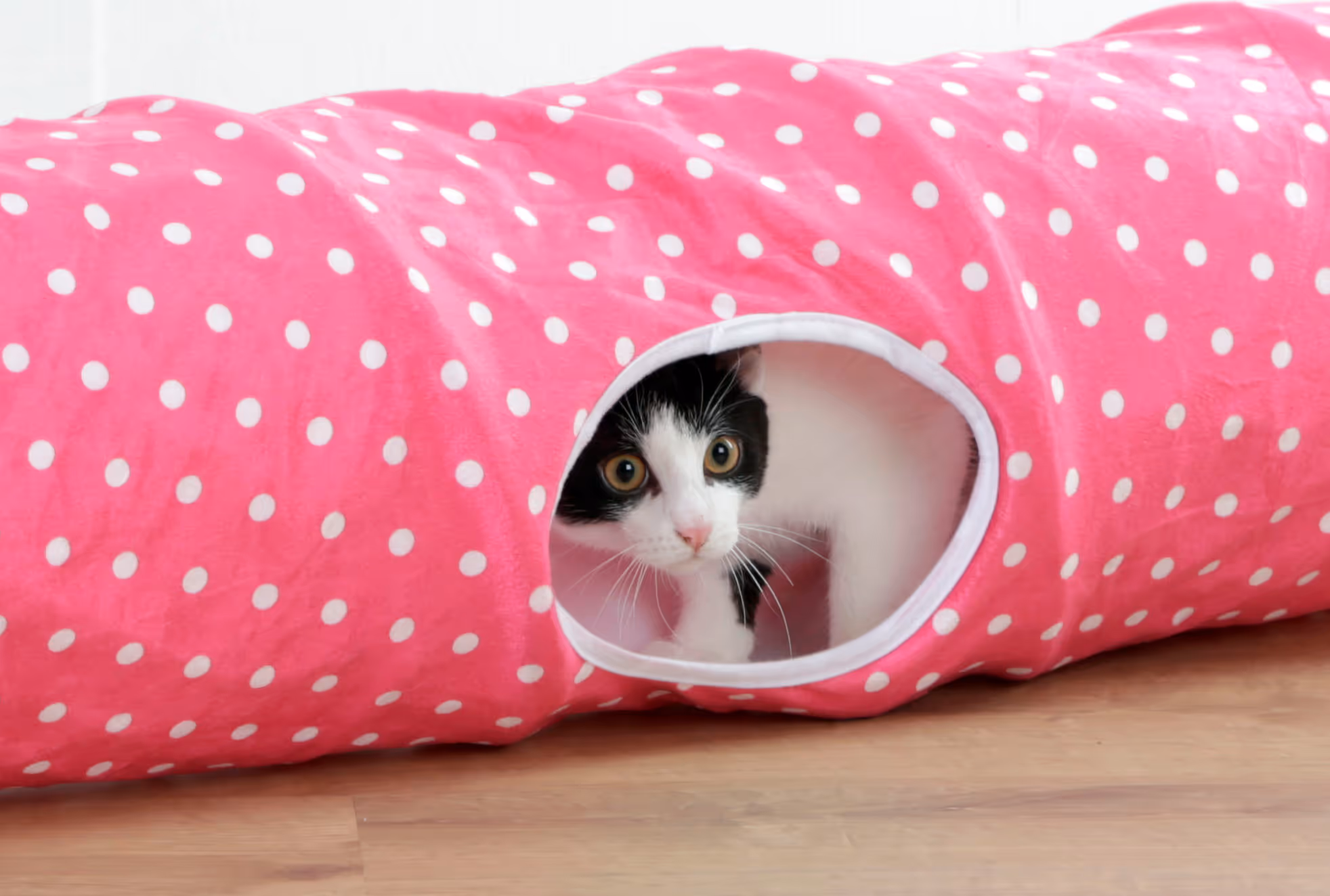 Tunnel pour chat Puntino pink/blanc, 100cm, Ø25cm