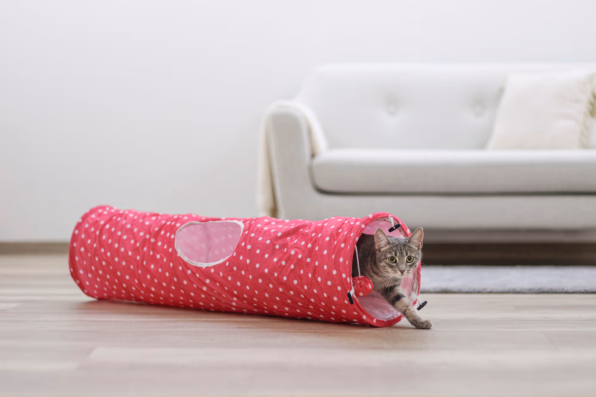 Tunnel pour chat Puntino pink/blanc, 100cm, Ø25cm