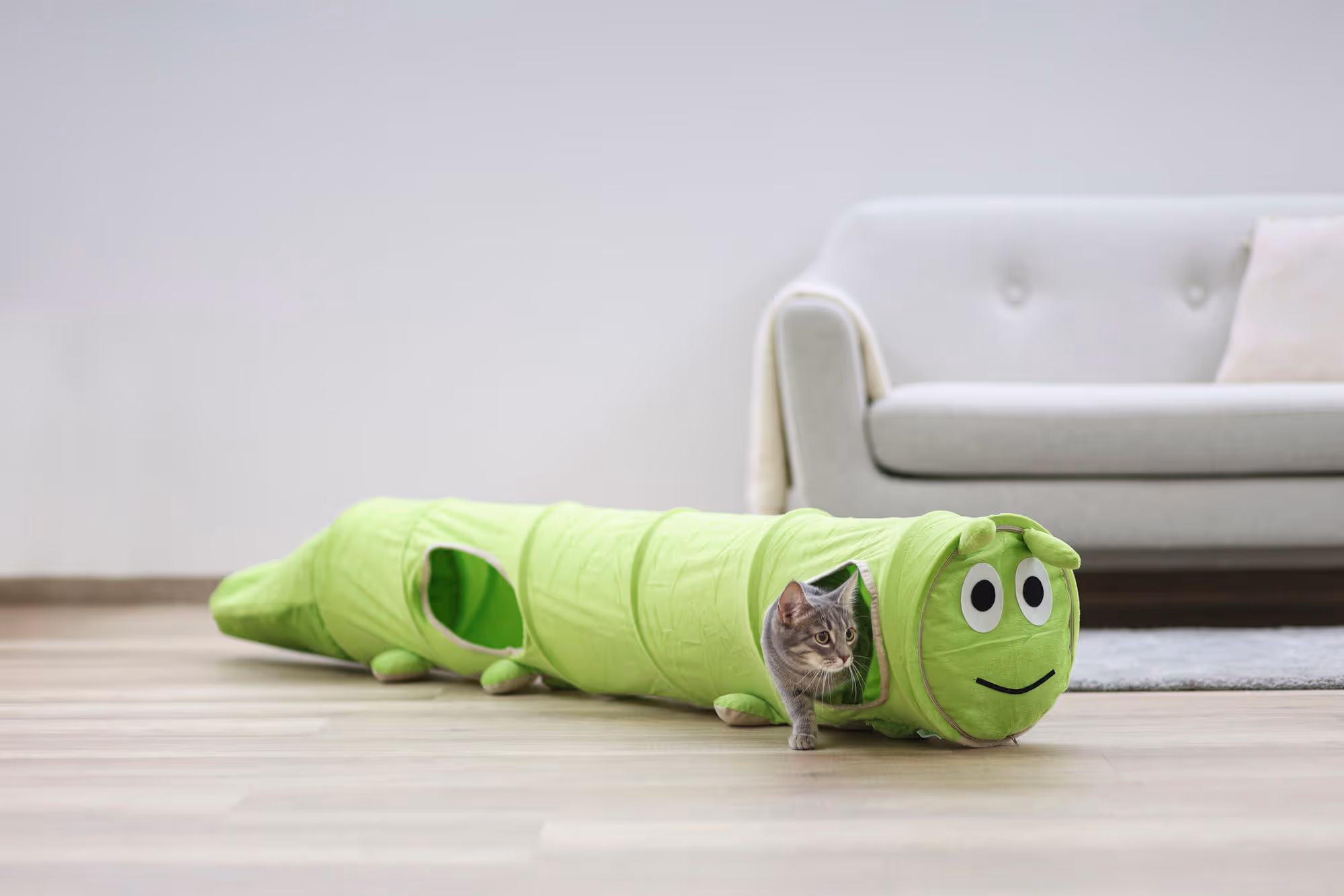 Tunnel pour chat Raupe 