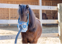 Tuyau seul pour masque d’inhalation pour cheval 1.70 mètre diam 3 cm