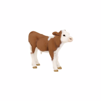 Veau simmental