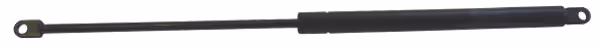 Vérin à gaz L500-275N