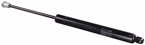 Vérin à gaz L500-450N
