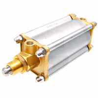 Vérin pneumatique double effet pour vanne MZ 8"