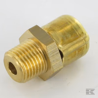 Vicon | Purgeur d'air 1/8" VGND9967V Origine