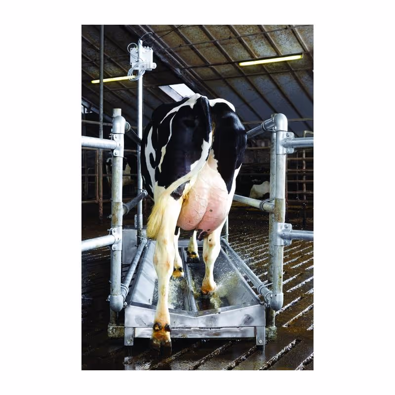 Vink Pédiluve de passage inox 80cmx105cmx320cm