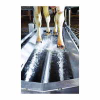 Vink Pédiluve de passage inox 80cmx105cmx320cm