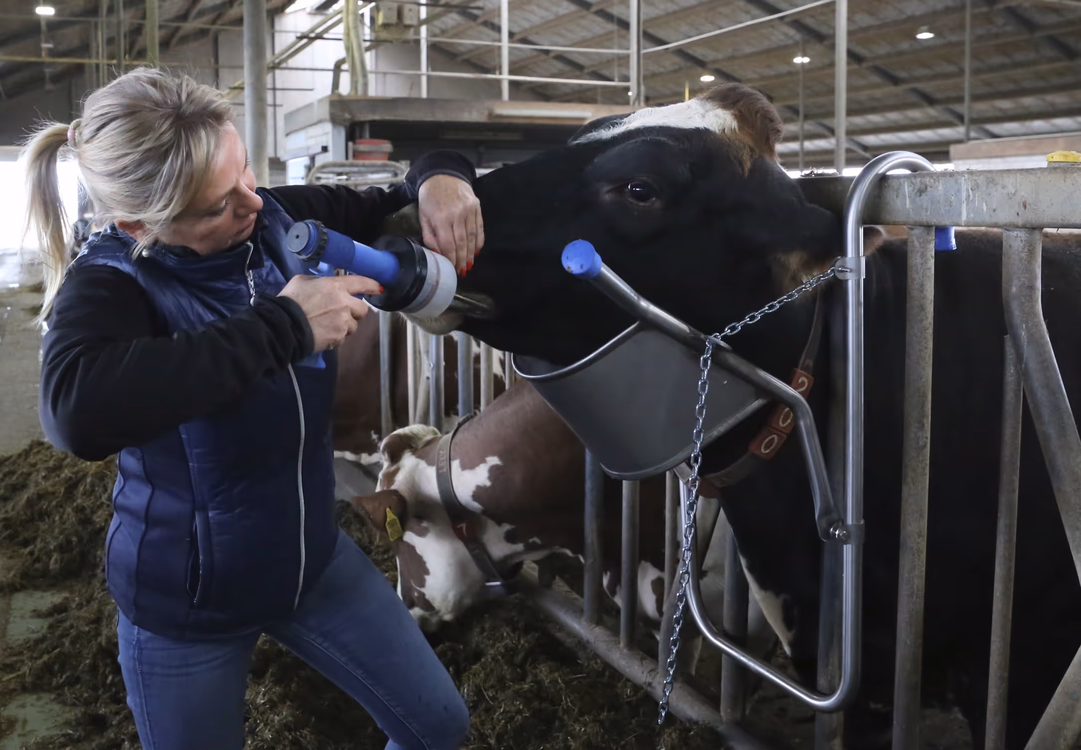 Vink | Support de tete de vache vink