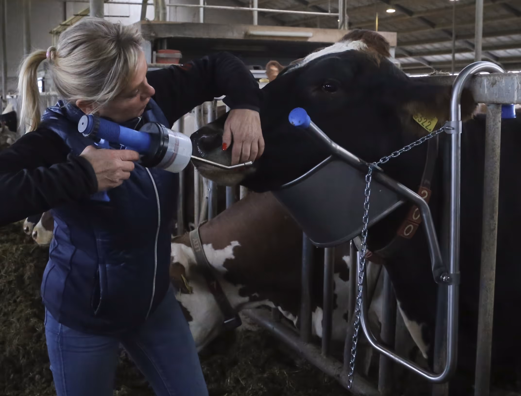Vink | Support de tete de vache vink