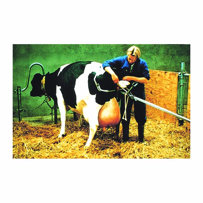Vink Vêleuse traditionnelle 160cm