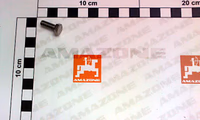 VIS 06X 16 4017 A2-70 - AMAZONE - REF DC016