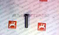 VIS 10X 40 4017 8.8 A2G - AMAZONE - REF DC071