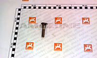 VIS 10X 50 603SHR 8.8 A2G - AMAZONE - REF DA092