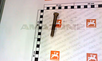 VIS 10X 70 4017 8.8 A2G - AMAZONE - REF DC080