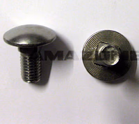 VIS 12X 25 8677 8.8 A2-70 - AMAZONE - REF DA494