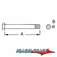 Vis 16 x long.120 mm