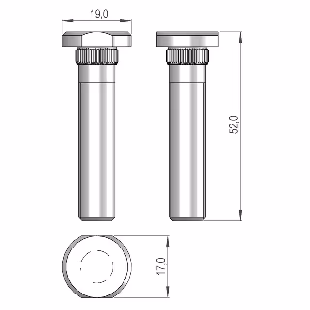 VIS 5  M10X43 DACROMET SIP745030790