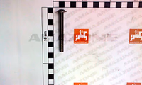 VIS 8X80 A2-70 - AMAZONE - REF DD569