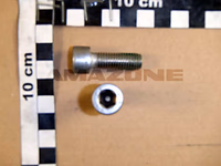 VIS DE BOITIER ZA-V - AMAZONE - REF DA892