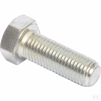 Vis de fixation acier M16-45