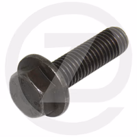 VIS DE FLASQUE - 309981 - MANITOU