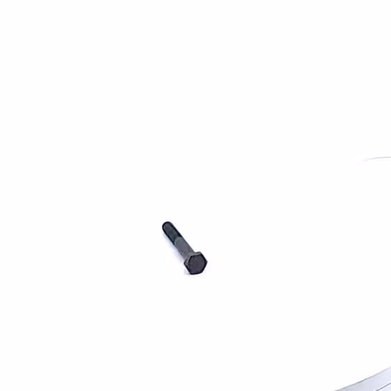 Vis de sécurité CNH 80536887 origine