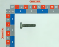 Vis H 8 X 30 (8,8) Geo 