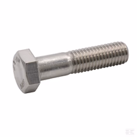 Vis M10x100 SW16 10.9 galv.