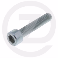VIS M6 - L 30 MM - 168706 - MANITOU