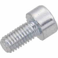 Vis T.C.E.I. M5x10 Znb