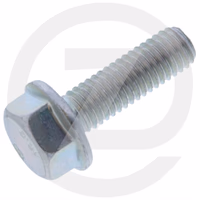 VIS À TÊTE HEXAGONALE M8 - L 25 mm - 10.9 - 823591 - MANITOU
